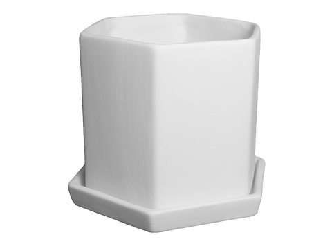 Hexagon Planter with Tray