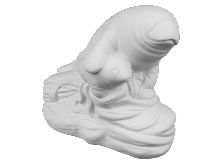 Mama and Baby Manatee