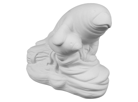 Mama and Baby Manatee