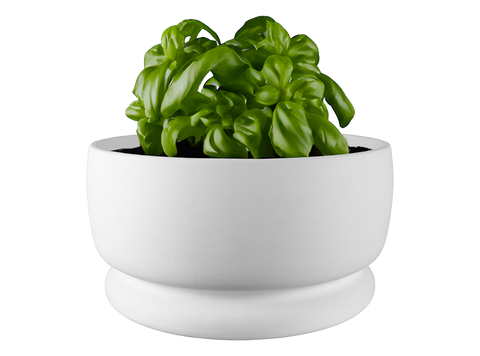 Large Rustic Planter with Stopper