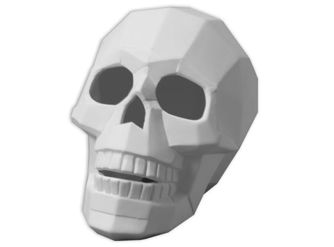 Faceted Skull